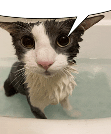 a black and white cat is in a bathtub with a speech bubble above its head