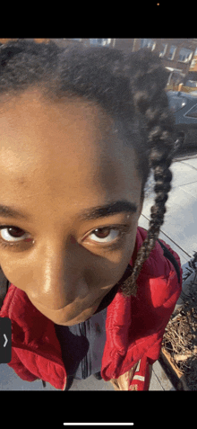 a close up of a person 's face with braids