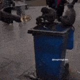 a monkey sitting on top of a blue trash can that says inspiring lion