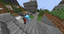 a screenshot of a minecraft game shows a player named tornaire