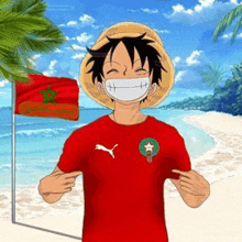 monkey d luffy is wearing a red shirt and straw hat