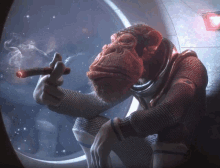 a monkey is smoking a cigar while looking out of a window