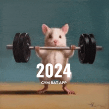 a picture of a hamster lifting a barbell and the year 2024