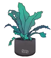 a drawing of a plant with the word feey on the bottom