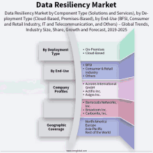 a diagram showing the data resiliency market by component type solutions and services