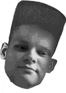 a black and white photo of a young boy 's head with a very high top .