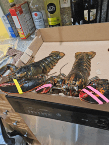 two lobsters are in a cardboard box with a bottle of lios margarita in the background