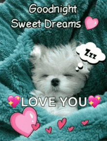 a picture of a puppy sleeping with the words goodnight sweet dreams love you on it