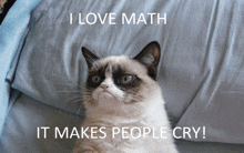 a grumpy cat is sitting on a bed with the words i love math it makes people cry