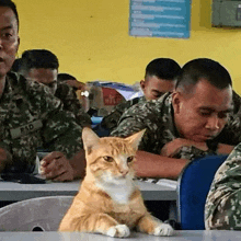 a group of soldiers are sitting in a classroom with a cat sitting at a desk in front of them