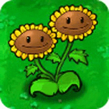 a couple of sunflowers with faces on them are sitting on top of a green field .