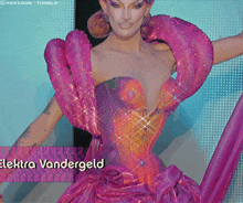 a picture of a woman in a pink dress with the name elektra vandergeld on the bottom