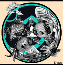 a drawing of fish in a circle with the name dante below it