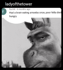 a picture of a gorilla with a speech bubble that says ladyofthetower