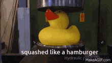 a yellow rubber duck is being squashed like a hamburger