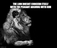 the lion does not concern itself with the peasant arguing with him