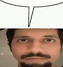 a man with a beard and mustache is next to a drawing of a bull 's head ..