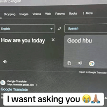 a screenshot of a google translate page that says `` i wasnt asking you '' .