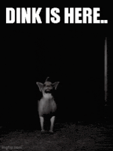 a small dog is standing in a dark room with the words dink is here