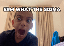 a boy with his mouth open and the words " erm what the sigma " behind him