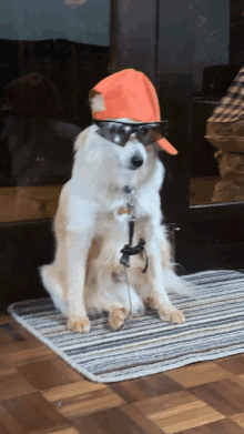 a dog wearing an orange hat and sunglasses sits on a mat