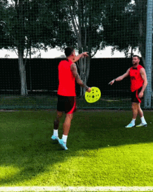 two men are playing frisbee on a soccer field and one of them is wearing a red tank top that says ' usa '