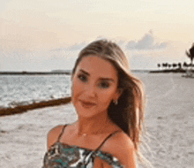 a woman is standing on a beach next to the ocean .