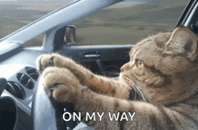 a cat is sitting in the driver 's seat of a car with the words " on my way " above it