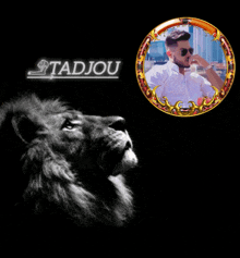 a black and white photo of a lion and a man with the name stadjou