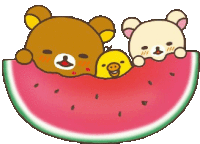 three bears and a chick are laying in a slice of watermelon