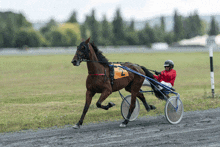 a man in a red jacket is riding a brown horse with the number 7 on the side