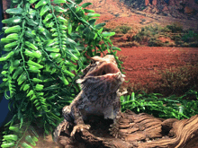 a lizard with its mouth open is sitting on a log