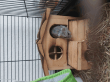 a small hamster is sitting in a wooden house