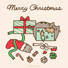 a merry christmas greeting card with a cat