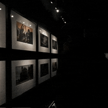 a row of framed pictures on a wall