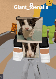 a person holding a picture of a cat with the name giant_toenails on the top