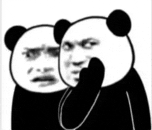 two panda bears are standing next to each other and one of them is covering his mouth with his hand .