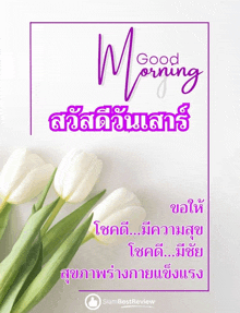 a purple and white greeting card with white flowers and the words good morning