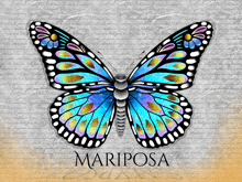 a blue and black butterfly with the word mariposa on the bottom