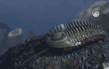 a close up of a worm sitting on top of a rock in the ocean .
