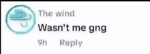a screenshot of a tweet that says the wind wasn 't me gng 9h reply