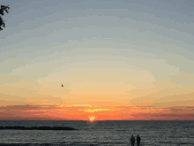 two people walking on the beach at sunset with a bird flying in the sky