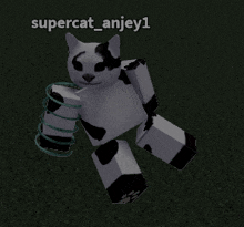 a black and white cat with the name supercat_anjey1 written above it