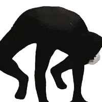 a black and white drawing of a dog with a white face