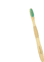 a bamboo toothbrush with a green bristle and the word brushiboo on the handle