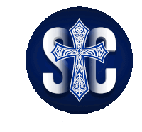 a blue circle with a white cross and the letter s on it