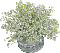 a bunch of lily of the valley flowers in a vase