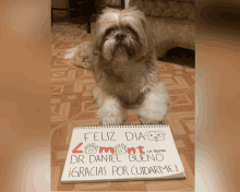 a small dog is laying on the floor next to a sign that says feliz dia