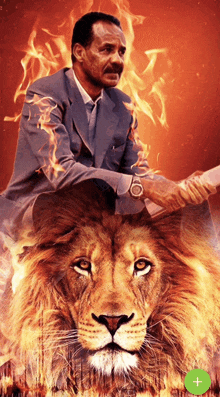 a man in a suit sits on the back of a lion holding a book