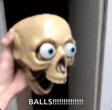 a person is holding a skull with big eyes and the words `` balls '' behind it .